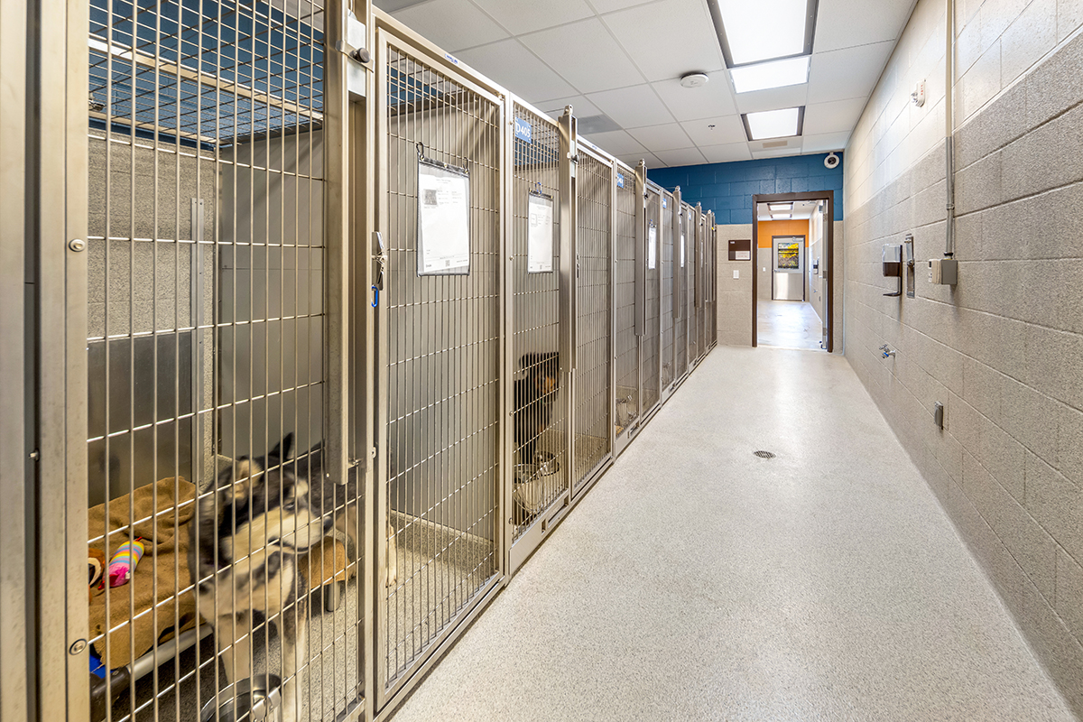 SLO Animal Shelter – LDA Partners